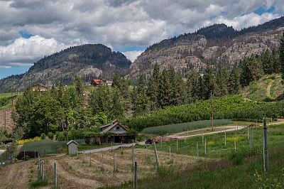 29 Eastside Road Okanagan Falls Photo 37