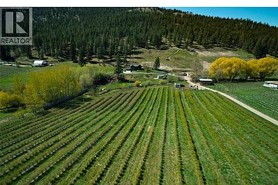 20412 Garnet Valley Road Summerland Photo 4