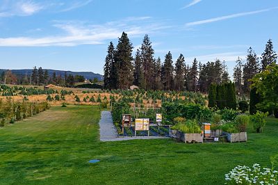 3975 June Springs Rd Kelowna Photo 29