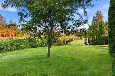 3975 June Springs Rd Kelowna Photo 30